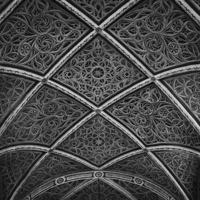 Intricate Gothic Cathedral Ceiling in Black and White - Download Free Stock Photos Pikwizard.com