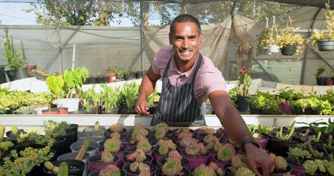 Man working with succulents in greenhouse: urban farming concept