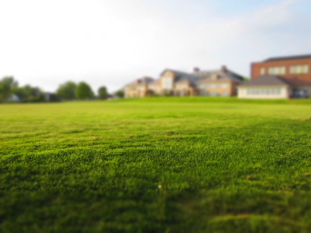 Expansive green lawn with blurred buildings in the background. Ideal for use in nature promotions, landscaping ads, real estate brochures, outdoor activities, or environmental campaigns.