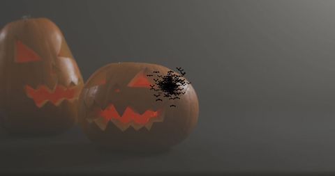 Eerie Halloween Pumpkins with Flying Bats on Misty Background - Download Free Stock Images Pikwizard.com