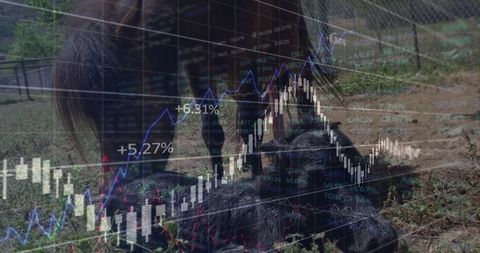 Livestock Harmony with Stock Market Data Overlay