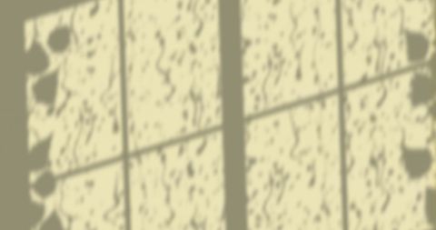 Leaf and Rain Pattern on Yellow Wall - Download Free Stock Images Pikwizard.com
