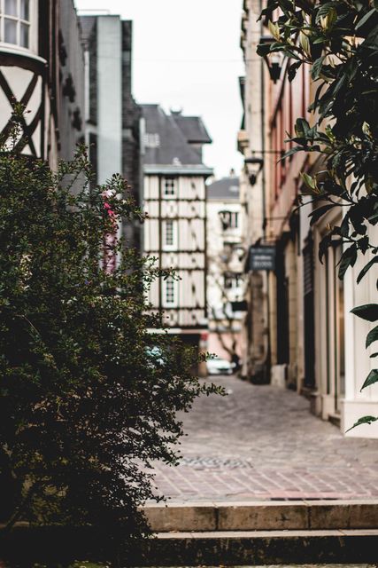 Narrow cobblestone alley with historic European architecture, surrounded by lush foliage and vintage buildings. Perfect for travel blogs, tourism promotions, historical studies, and European culture illustrations.