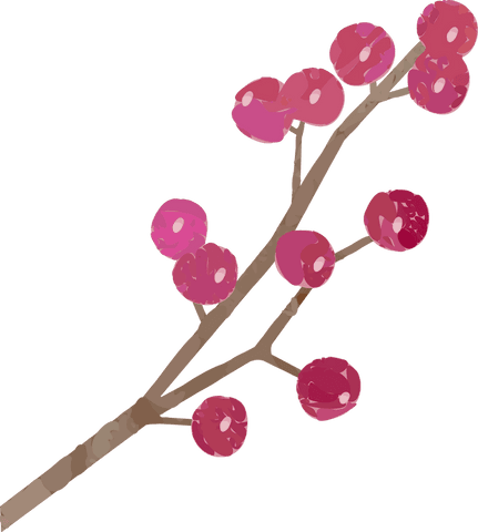 Stylized branch with pink buds on transparent background