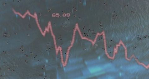 Aerial flock of waterbirds on reflective lake with neon pink financial chart overlay data