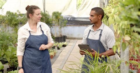 Eco-Savvy Team in Greenhouse Discussing Sustainable Plant Care