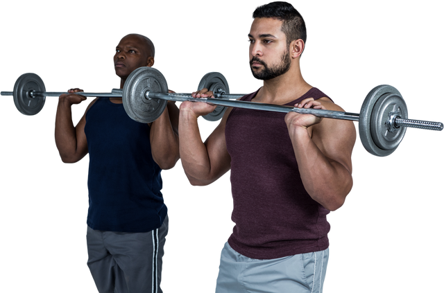 Athletic Men Lifting Barbell Together on Transparent Background - Download Free Stock Videos Pikwizard.com