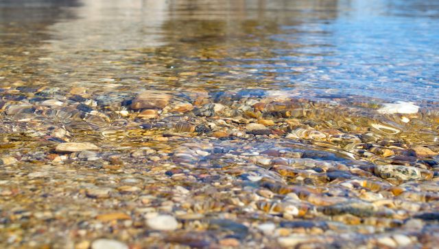 Clear, shallow river allowing visibility of pebbles beneath the surface. Use this image to depict natural beauty, tranquility, or to promote eco-friendly content. Ideal for nature blogs, environmental awareness, and travel websites.