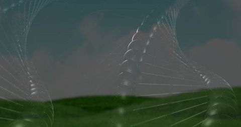 Ethereal translucent double helix of glossy spheres twisting over grassy hill at dusk