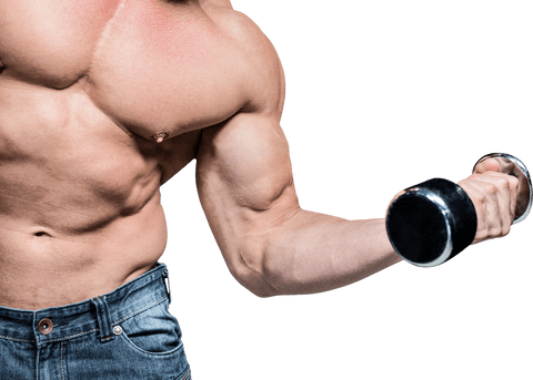 Transparent muscular arm elevating dumbbell detailing strength and fitness