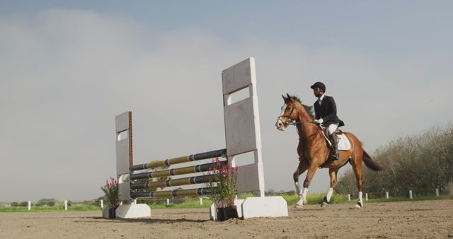 Equestrian Rider Jumping Fence During Horse Show - Download Free Stock Images Pikwizard.com