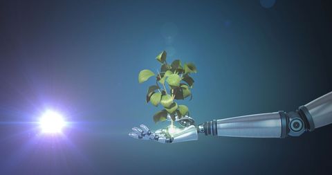 Robotic Hand Holding Growing Plant on Dark Background - Download Free Stock Images Pikwizard.com