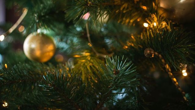 Close-up evergreen branch showing matte gold bauble glowing among warm holiday lights