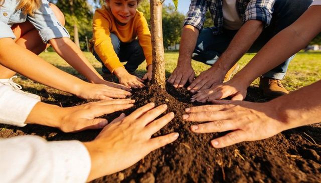 Family planting tree together in park showing hands smoothing soil for sapling growth