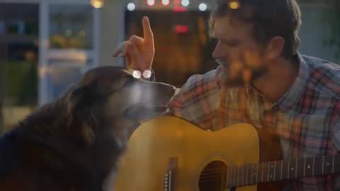 Man pausing guitar strum to pet dog through window while warm bokeh lights glowing