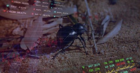 Black beetle crawling on sandy microhabitat with stock market data overlay double exposure