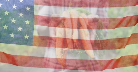 Farmer hands with carrots overlaid with united states flag