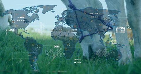 Horse with World Map Overlay in Pastoral Natural Setting