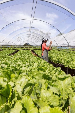 Woman in greenhouse using vr for sustainable agriculture
