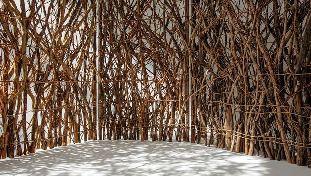 Curved branch enclosure with twine lattice casting dramatic shadows on white gallery floor