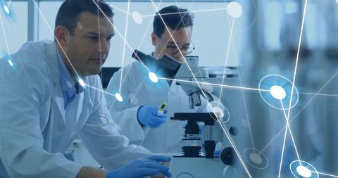 Scientists Engaged in Data Processing with Global Connections Overlay - Download Free Stock Images Pikwizard.com