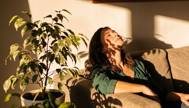 Woman relaxing on sofa in golden hour sun with foliage shadow patterns