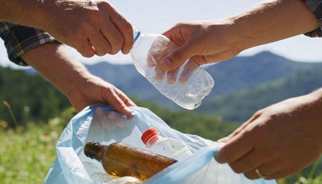 Volunteers collecting plastic bottles during mountain meadow cleanup for recycling
