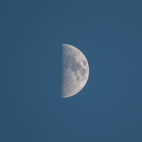 Half moon against clear blue sky showing universe cratered surface
