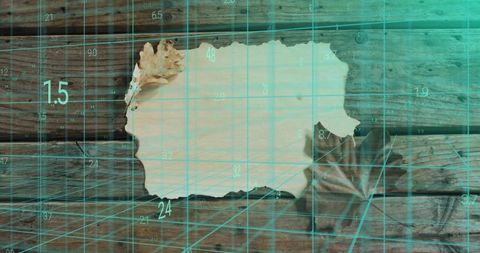 Displaying torn parchment on rustic wood with dried leaves and teal ar grid overlay