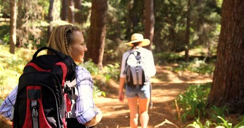 Women Hiking on Tranquil Forest Trail - Download Free Stock Images Pikwizard.com