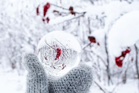 Hand Holding Crystal Sphere Reflecting Red Winter Berries and Snowy Branches in Mittens