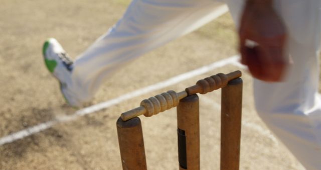 Cricket Player Bowling with Focus on Stumps and Bails in Motion - Download Free Stock Images Pikwizard.com