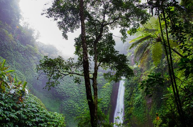 This image depicts a lush tropical rainforest with dense vegetation and a waterfall cascading through the green setting while mist creates a serene atmosphere, suggesting relaxation and tranquility. Ideal for use in articles, travel brochures, or environmental campaigns emphasizing the magnificence of natural landscapes or the importance of rainforest conservation.
