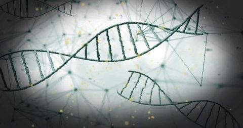 DNA Helix over Network Connections Conceptual Background