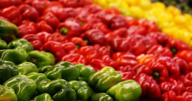 Rows of colorful bell peppers in green, red, and yellow create a vibrant display at a market. Fresh produce like these peppers is essential for a healthy diet and adds flavor and nutrition to meals.