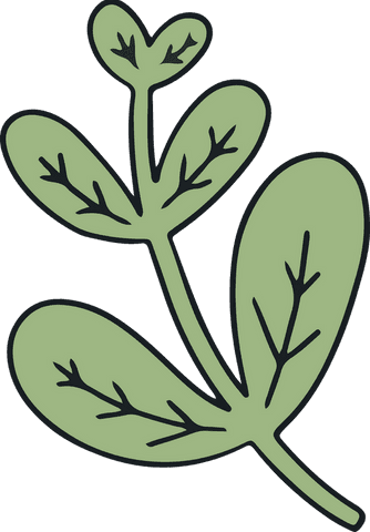 Botanical sprig with five leaves on transparent background