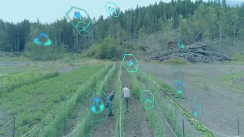 Farmers Inspecting Crops with Digital Data Icons in the Field