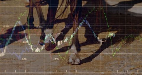 Horse Racing and Market Dynamics Overlay in Motion