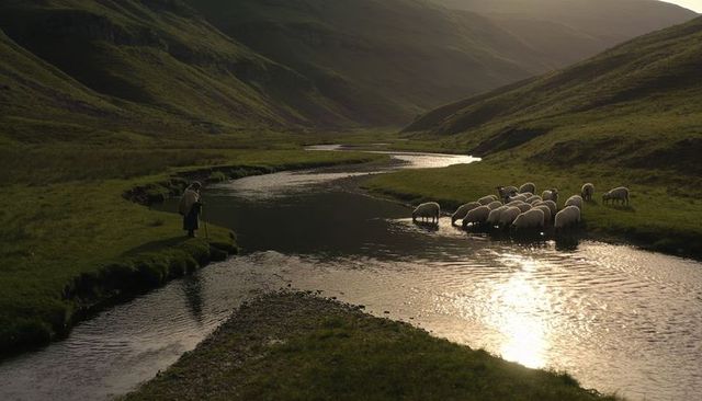 Shepherd watching grazing flock drinking at stream bend in sunlit green valley landscape