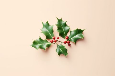 Festive Holly Leaves with Red Berries on Soft Background
