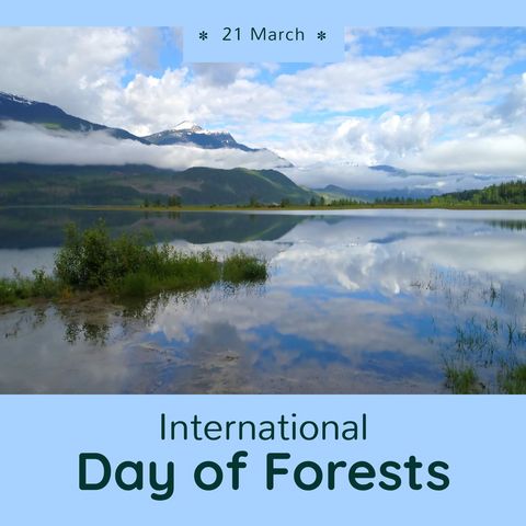 Serene Lake View on International Day of Forests - Download Free Stock Templates Pikwizard.com