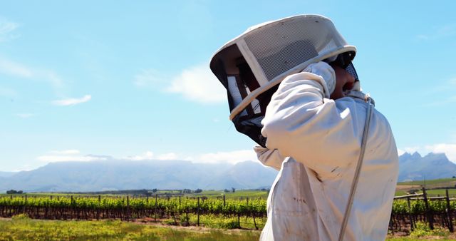 Beekeeper wearing protective gear attending to bees in a vineyard with mountains in the background on a sunny day. Ideal for use in articles related to beekeeping, agriculture, rural lifestyle, and outdoor activities. Can be used to depict concepts such as nature, environmental conservation, and sustainable farming practices.