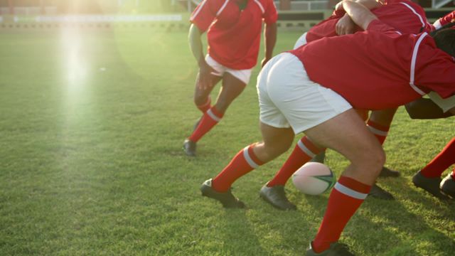 Rugby players in red jerseys forming a scrum on a sunny stadium field. Ideal for sports articles, promotional materials for rugby events, and websites focused on athletic competitions and team sports education.