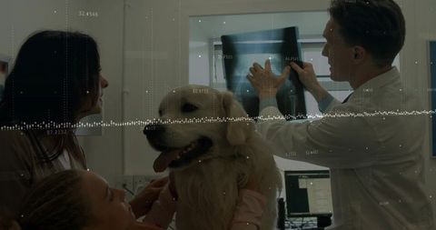 Veterinarian analyzes dog x-ray while family observes small clinic