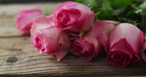 Pink Rose Bouquet on Rustic Wooden Background - Download Free Stock Images Pikwizard.com