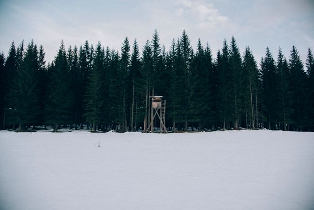 Wooden Observation Tower in Snow-Covered Forest - Download Free Stock Photos Pikwizard.com