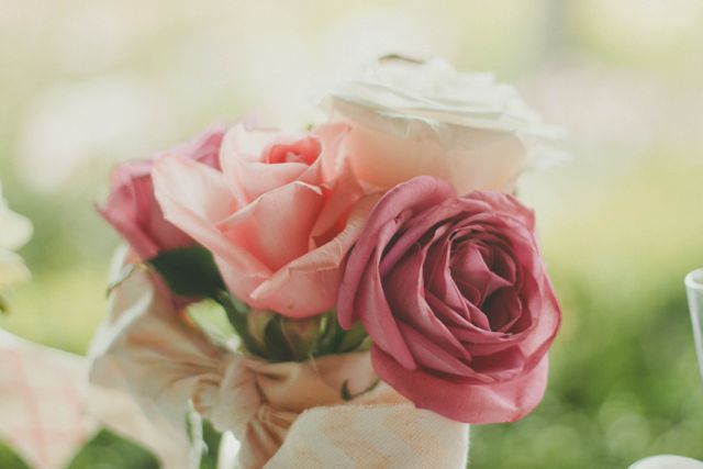 Close-Up of Pink and White Roses in Soft Light - Download Free Stock Photos Pikwizard.com