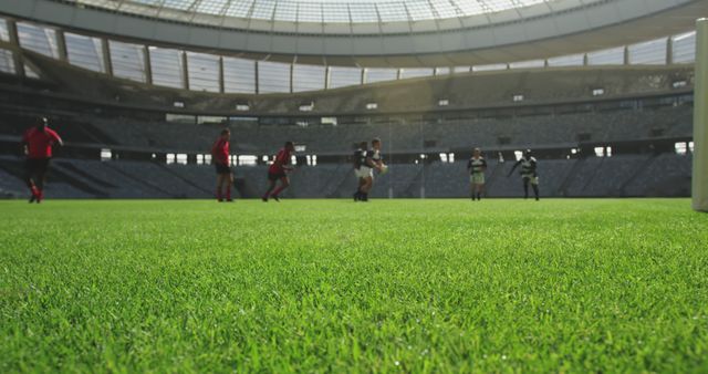 Soccer Players Competing in Sunlit Stadium - Download Free Stock Images Pikwizard.com