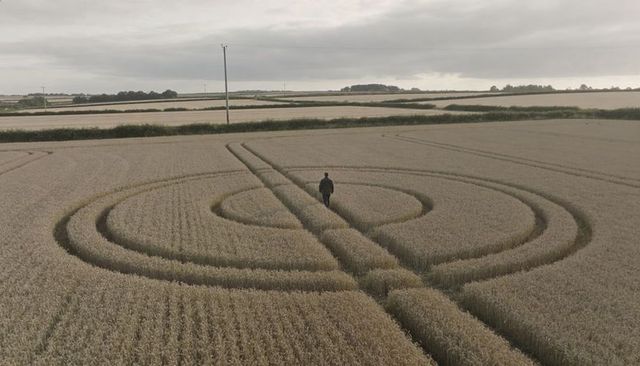 Solitary man walking through concentric crop circle in golden wheat under overcast sky