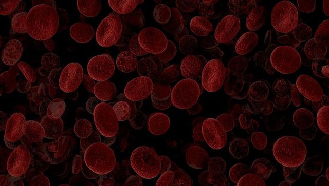 Microscopic view of floating red blood cells highlighting biconcave structure